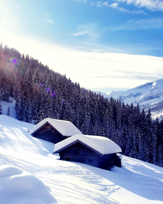 Early frosts in Austrian Alps sfondi gratuiti per 640x1136