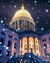 Madison, Wisconsin State Capitol wallpaper 176x220