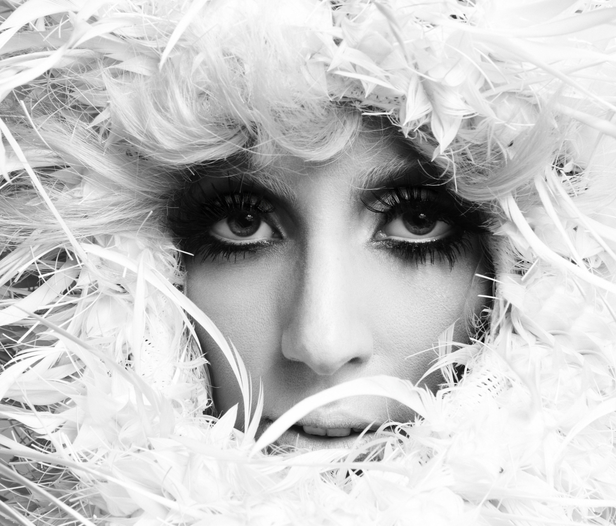 Fondo de pantalla Lady Gaga White Feathers 1200x1024