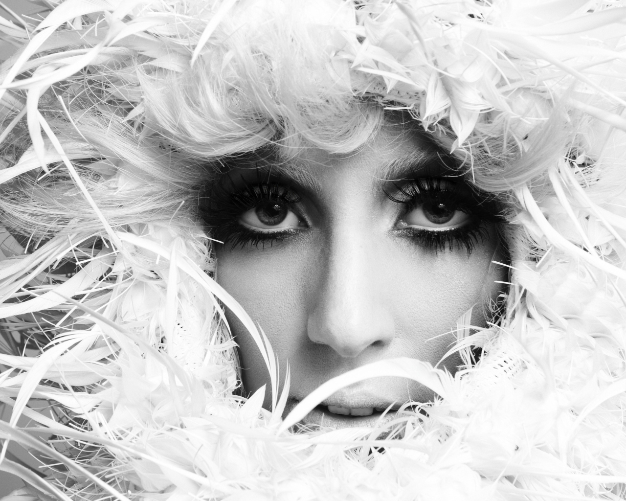 Fondo de pantalla Lady Gaga White Feathers 1280x1024