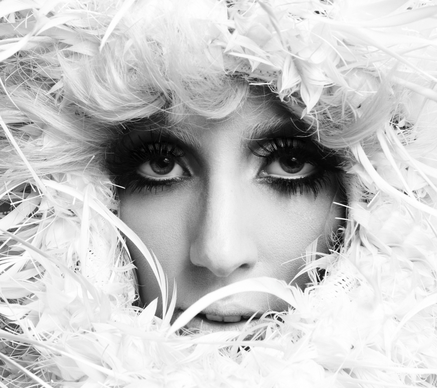 Fondo de pantalla Lady Gaga White Feathers 1440x1280