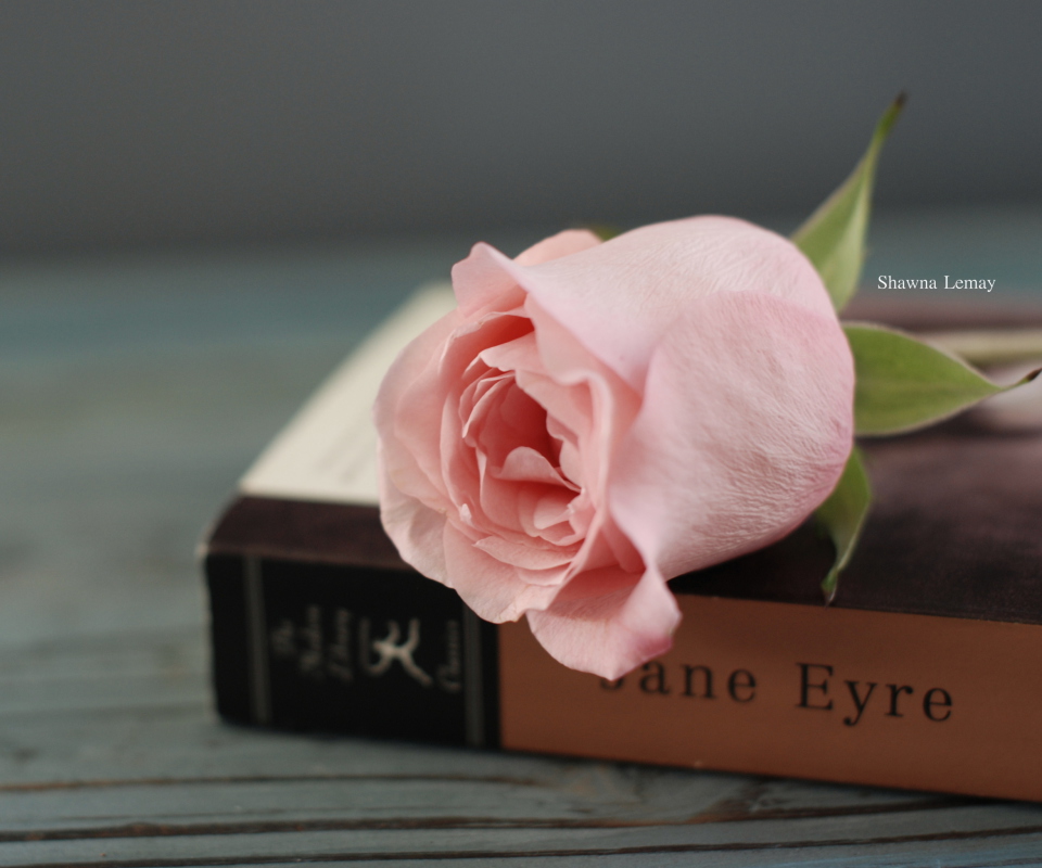 Book And Rose wallpaper 960x800