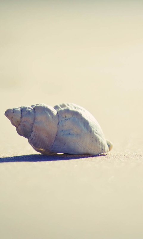 Lonely Seashell screenshot #1 480x800