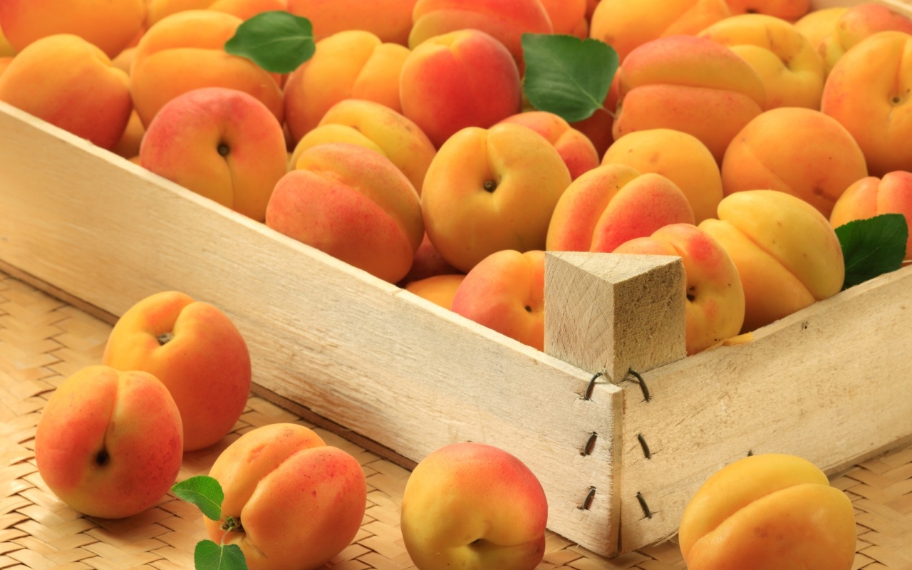 Apricots wallpaper 1280x800