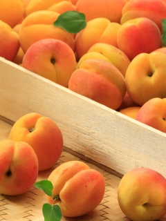 Apricots wallpaper 240x320