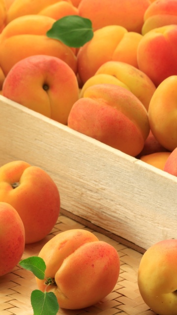 Apricots wallpaper 360x640