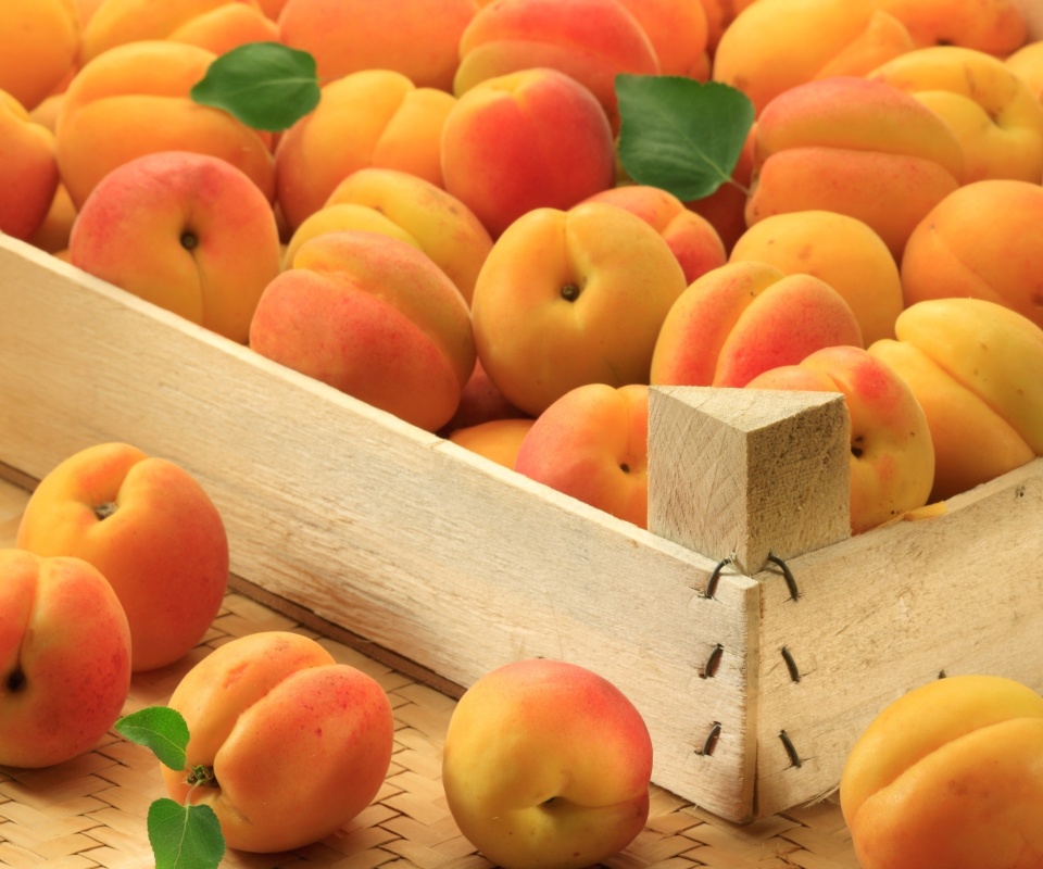 Das Apricots Wallpaper 960x800