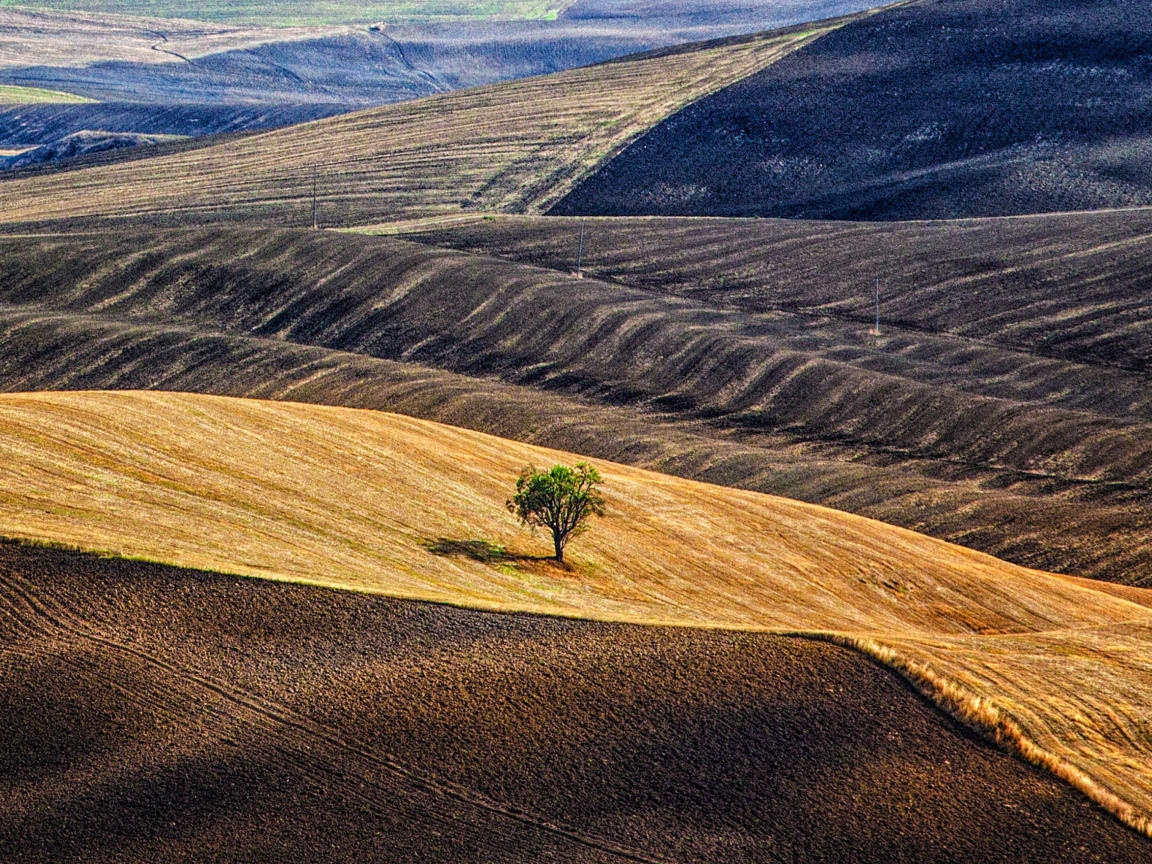 Screenshot №1 pro téma Italy, Tuscany 1152x864