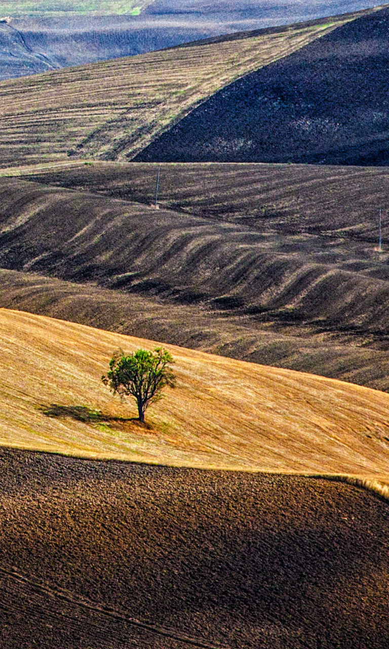 Sfondi Italy, Tuscany 768x1280