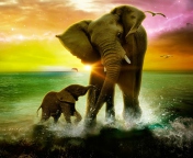 Fondo de pantalla Elephant Family 176x144