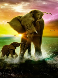 Screenshot №1 pro téma Elephant Family 240x320