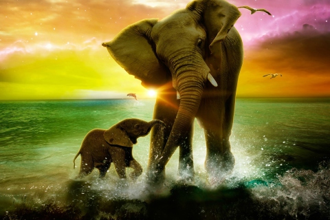 Elephant Family wallpaper 480x320