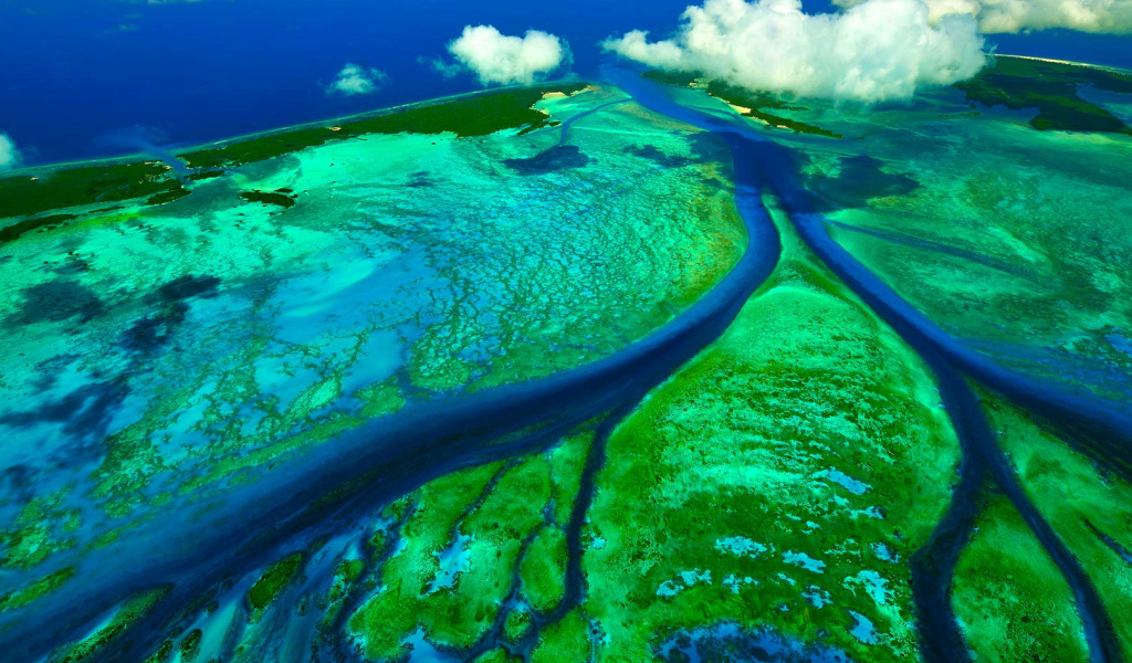 Screenshot №1 pro téma Aldabra Atoll, Seychelles Islands 1024x600