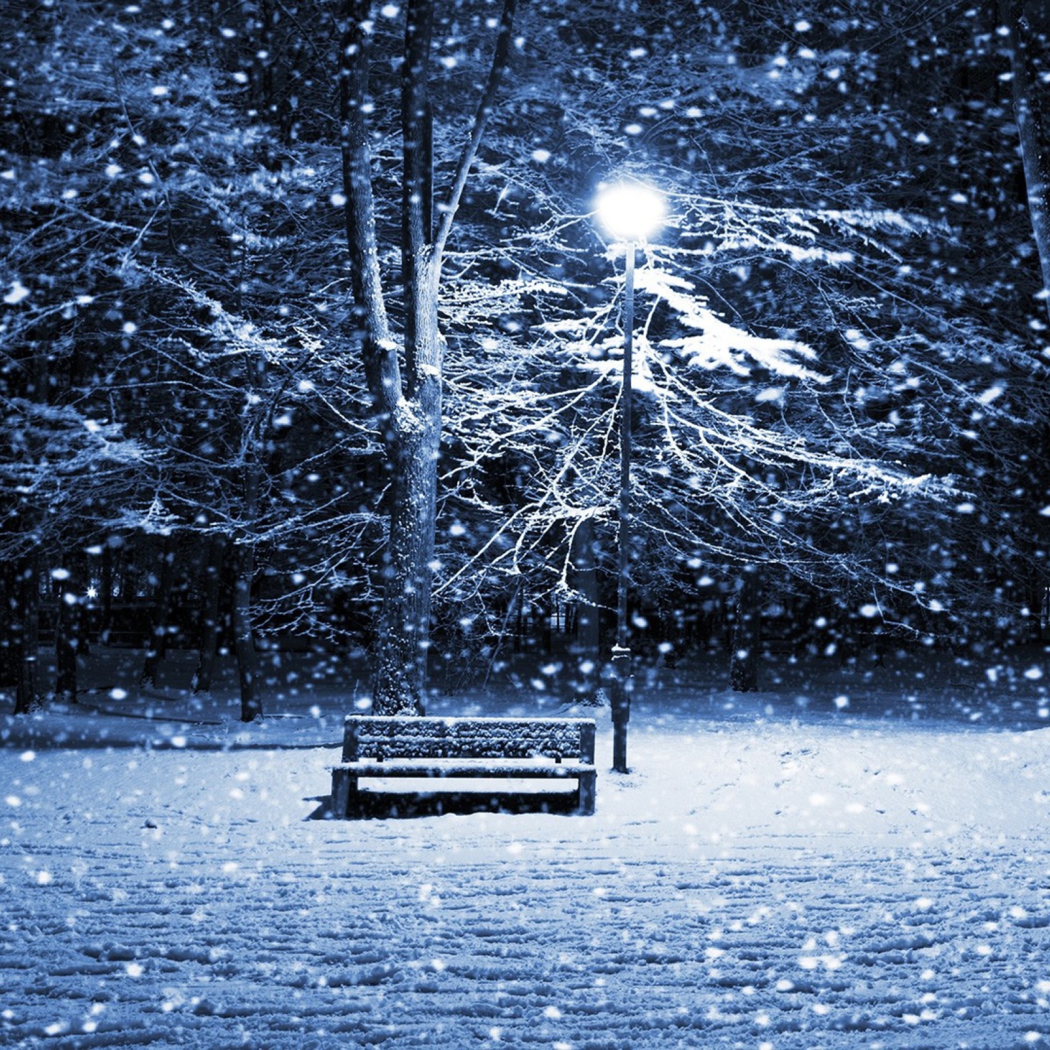 Screenshot №1 pro téma Lonely Bench In Snowy Night 2048x2048