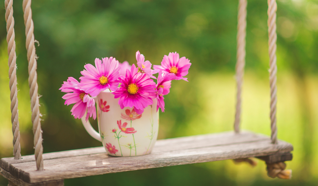 Pink Daisies In Mug screenshot #1 1024x600