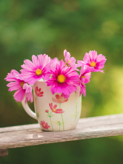 Pink Daisies In Mug wallpaper 240x320