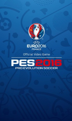 Обои UEFA Euro 2016 in France 240x400