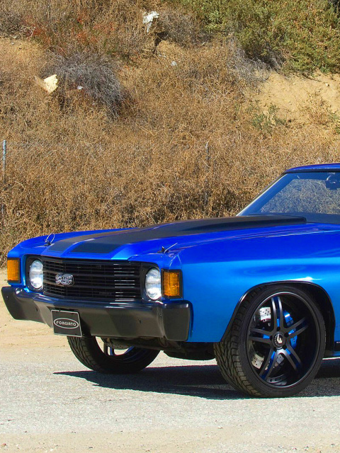 1972 Chevrolet Chevelle SS Coupe screenshot #1 480x640