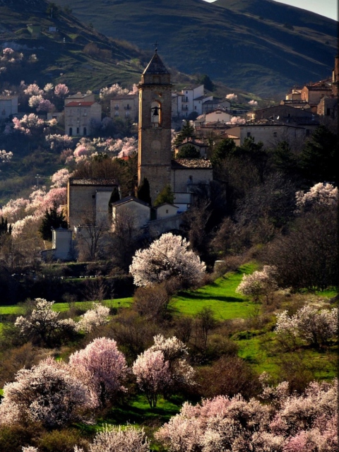 Screenshot №1 pro téma Spring In Italy 480x640