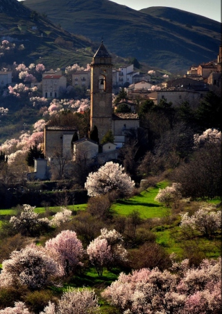 Spring In Italy - Obrázkek zdarma pro Nokia X6