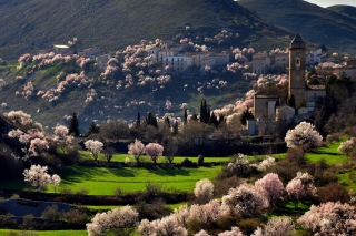 Spring In Italy - Obrázkek zdarma pro 1600x900