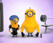 Обои Despicable Me 2 in Gym 176x144