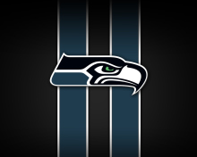 Обои Seattle Seahawks 220x176