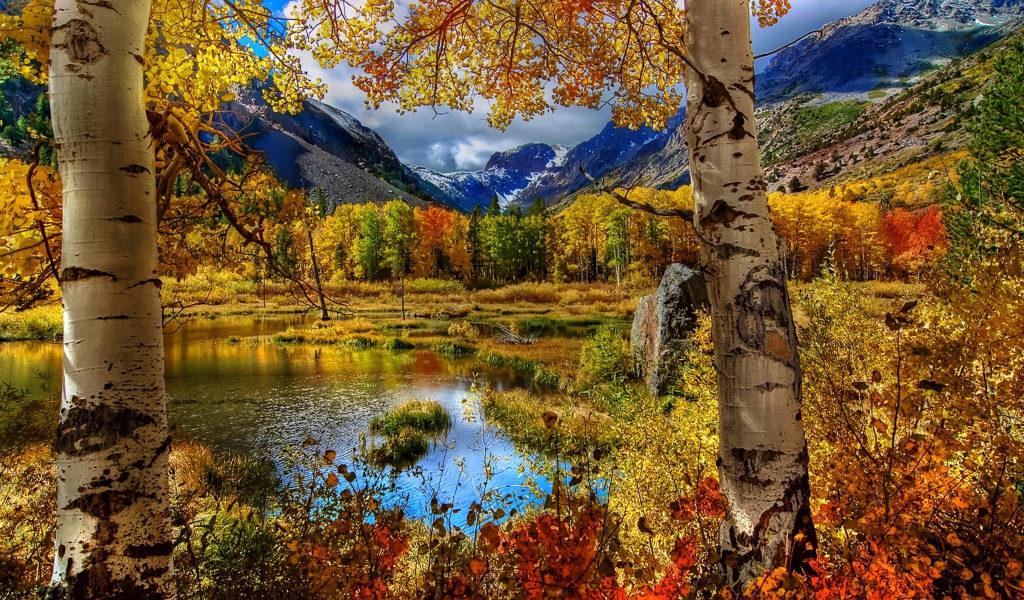 Sfondi Amazing Autumn Scenery 1024x600