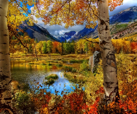 Das Amazing Autumn Scenery Wallpaper 480x400