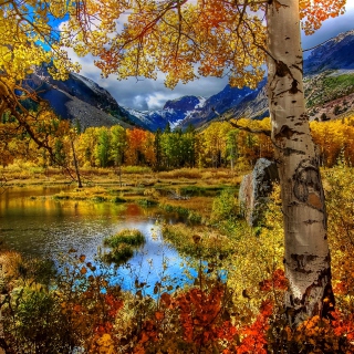 Kostenloses Amazing Autumn Scenery Wallpaper für iPad 2