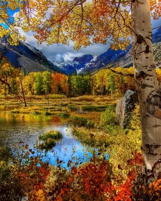 Amazing Autumn Scenery - Fondos de pantalla gratis para Nokia 5530 XpressMusic