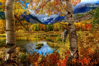 Amazing Autumn Scenery - Obrázkek zdarma pro Samsung Galaxy Ace 3