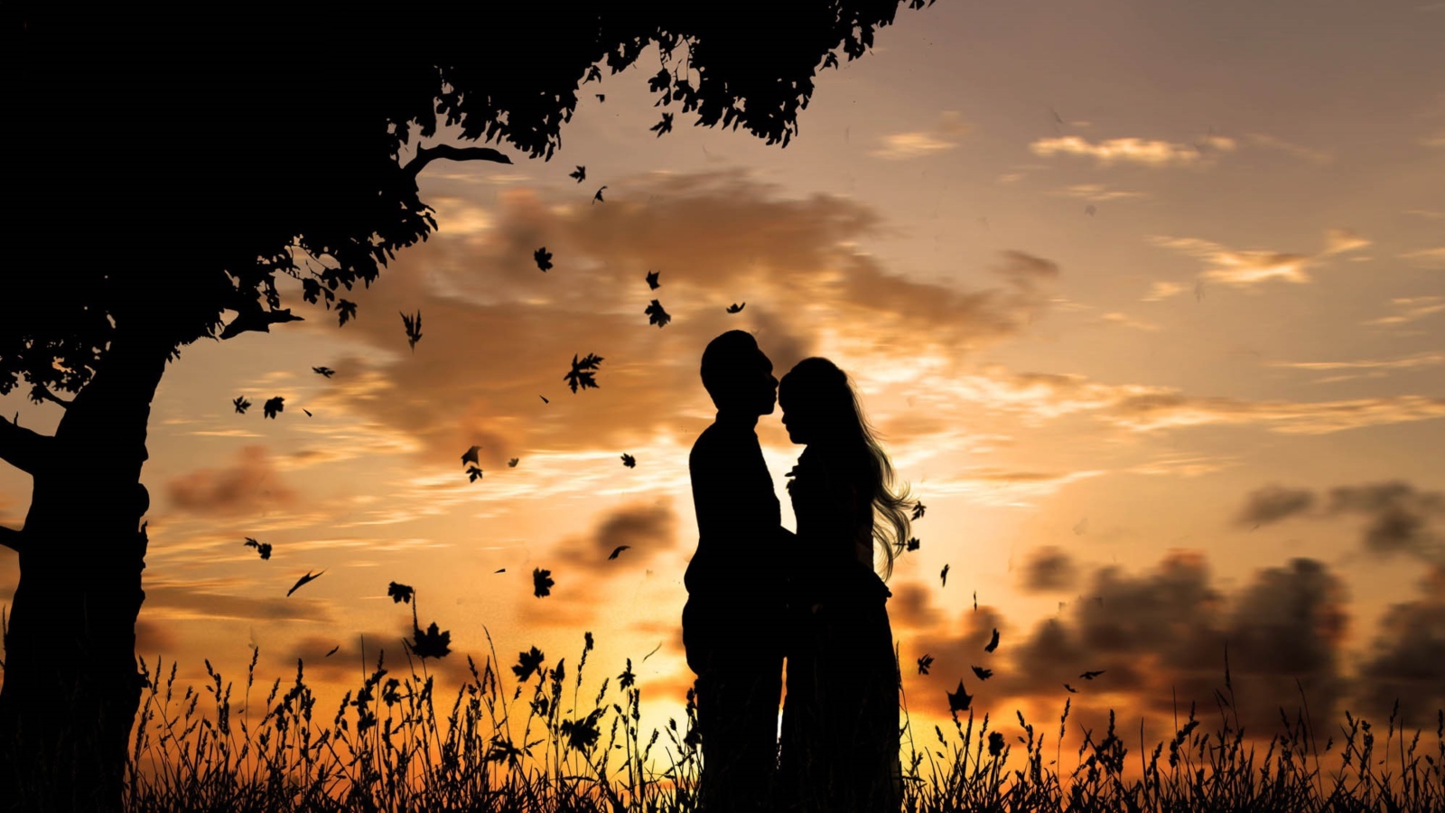 Screenshot №1 pro téma Romantic Silhouettes 1600x900