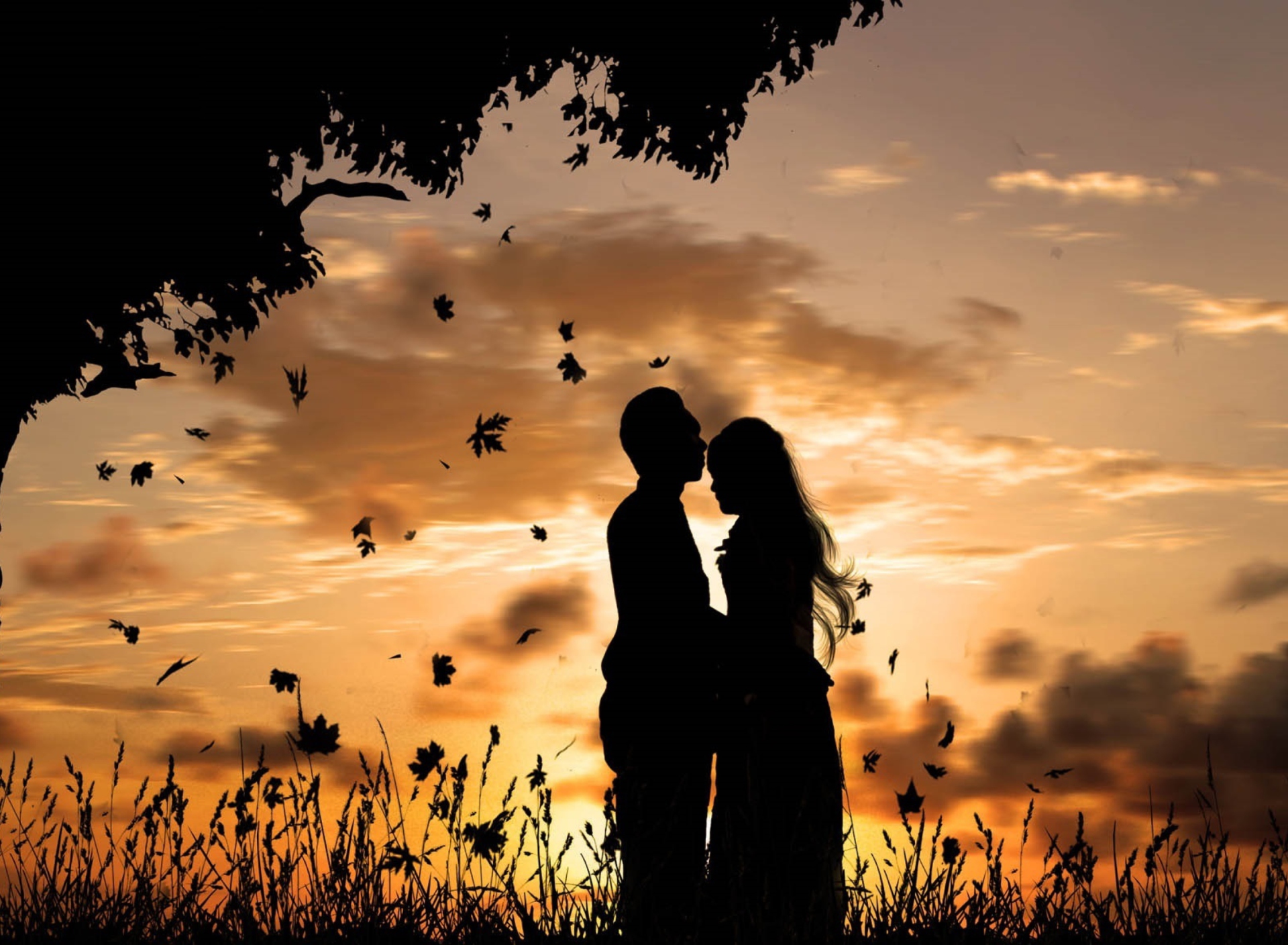 Screenshot №1 pro téma Romantic Silhouettes 1920x1408