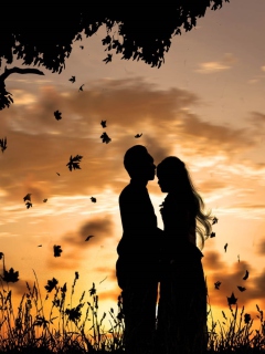 Das Romantic Silhouettes Wallpaper 240x320