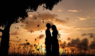 Romantic Silhouettes Background for Android, iPhone and iPad