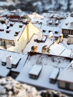 Rooftops In Prague screenshot #1 240x320