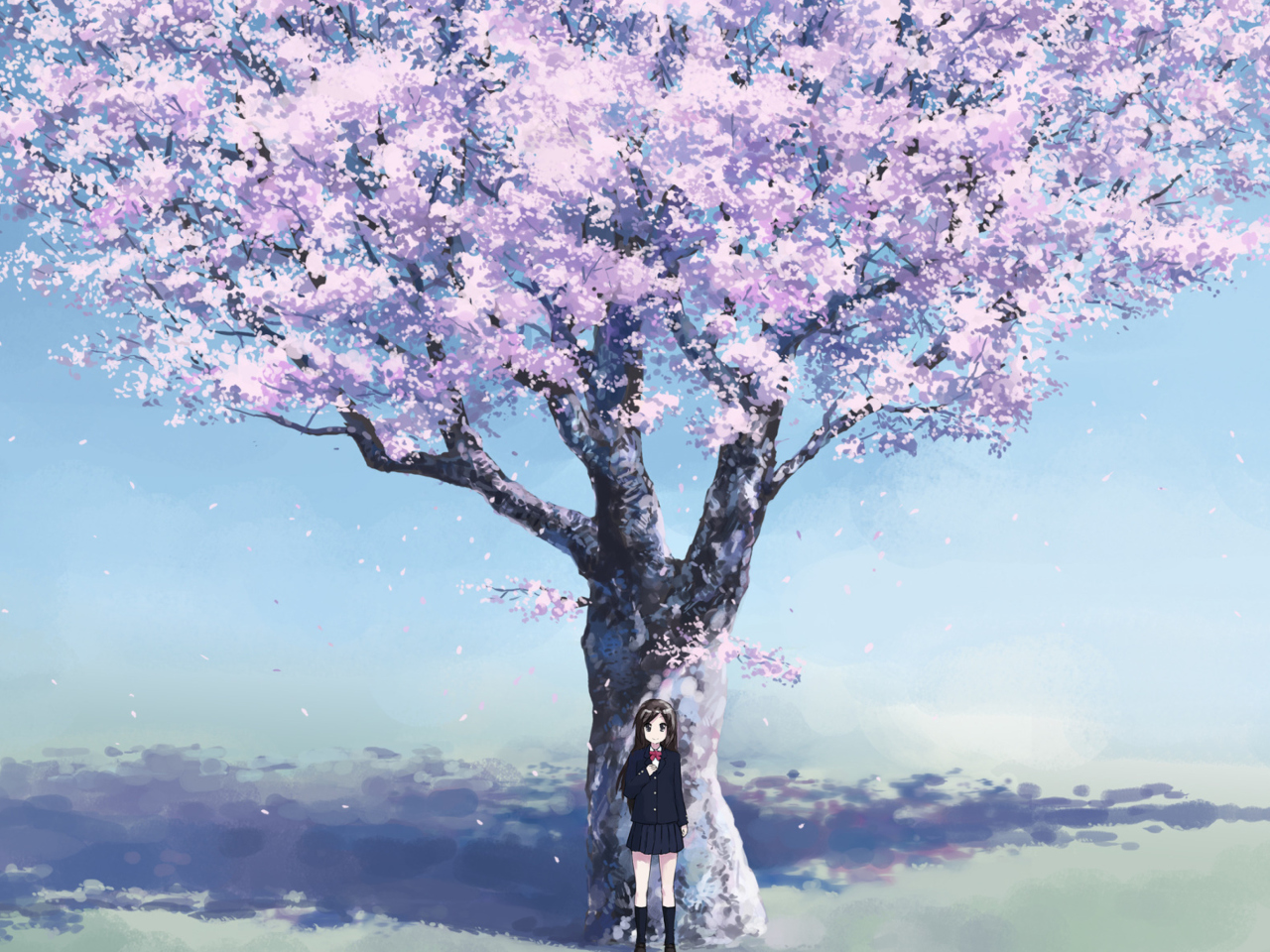Girl And Sakura wallpaper 1280x960