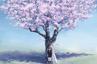 Girl And Sakura - Obrázkek zdarma pro HTC Wildfire