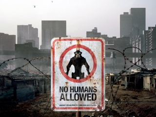 Das No Humans Allowed Wallpaper 320x240