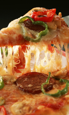 Fondo de pantalla Slice of Pizza 240x400