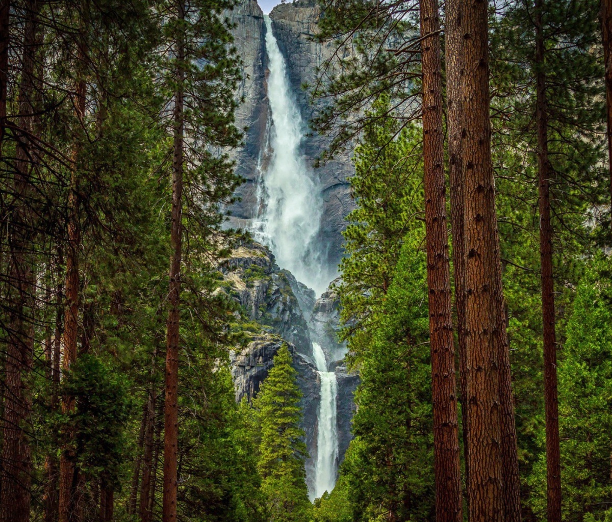 Das Giant waterfall Wallpaper 1200x1024