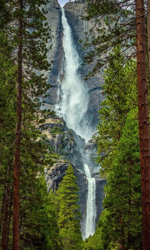 Das Giant waterfall Wallpaper 480x800