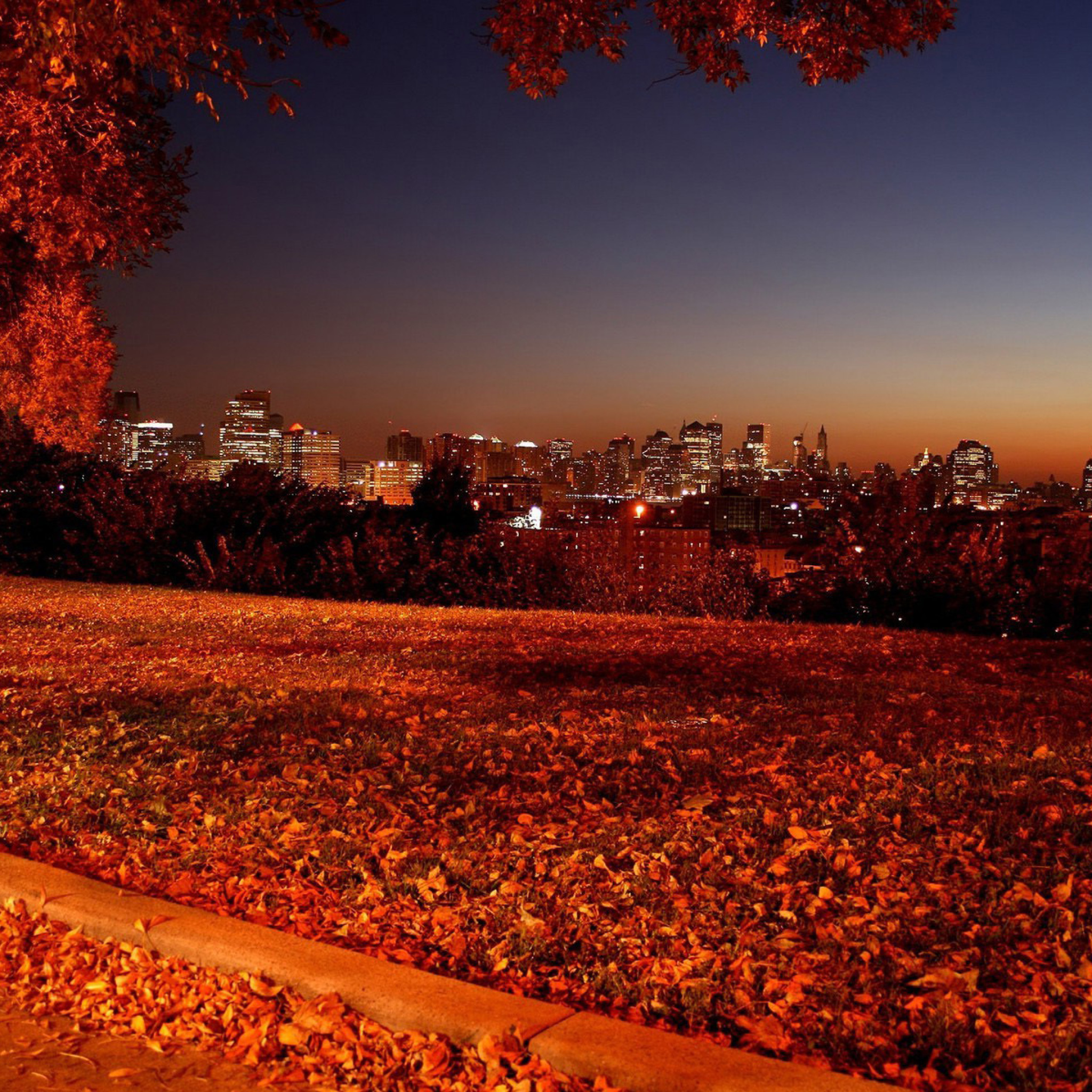 Das Autumn in Chicago Wallpaper 2048x2048