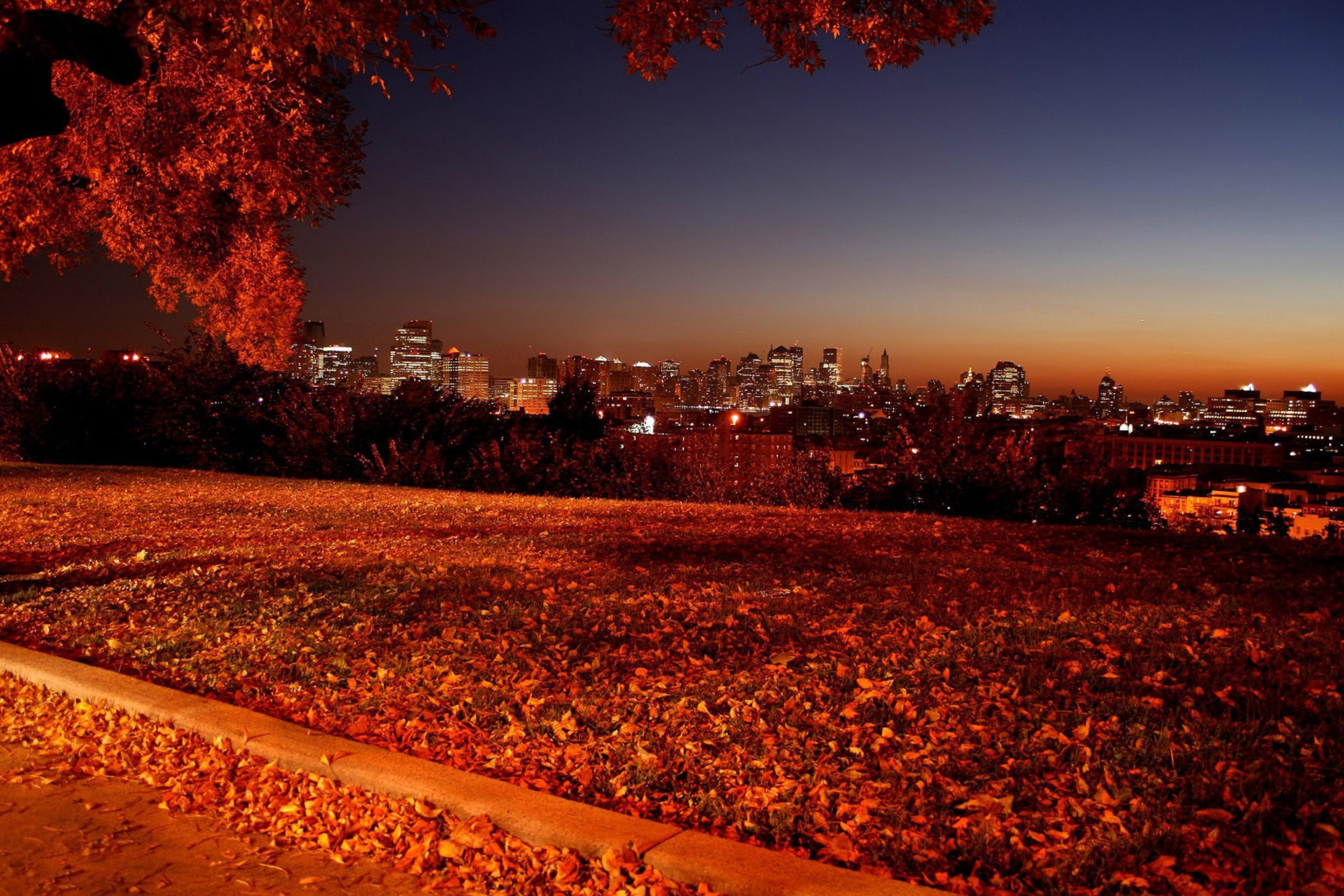 Autumn in Chicago wallpaper 2880x1920