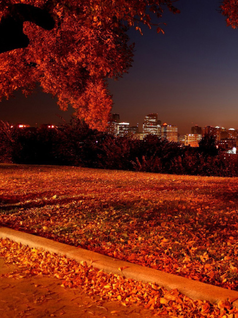 Autumn in Chicago wallpaper 480x640