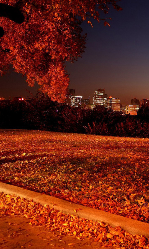 Sfondi Autumn in Chicago 480x800