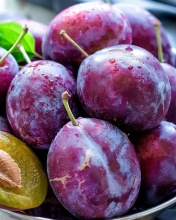 Das Plums with Vitamins Wallpaper 176x220