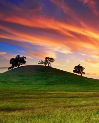 Sunset In California - Obrázkek zdarma pro 240x400