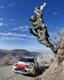 Das Citroen, DS3, Rally Wallpaper 128x160